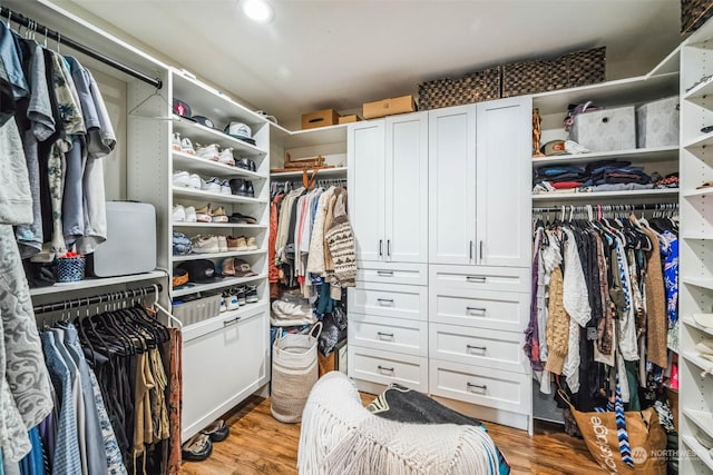 spacious closet with light wood-type flooring