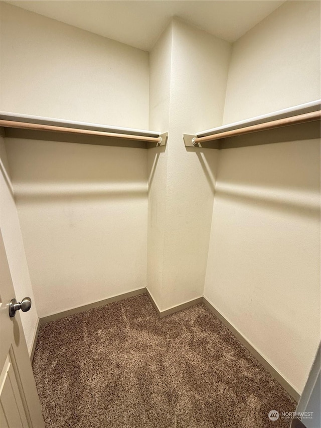 spacious closet featuring dark colored carpet