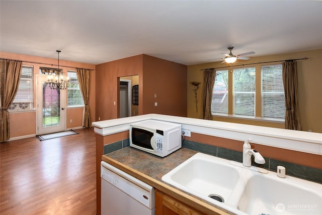 kitchen featuring ceiling fan with notable chandelier, white appliances, decorative light fixtures, dark hardwood / wood-style flooring, and sink