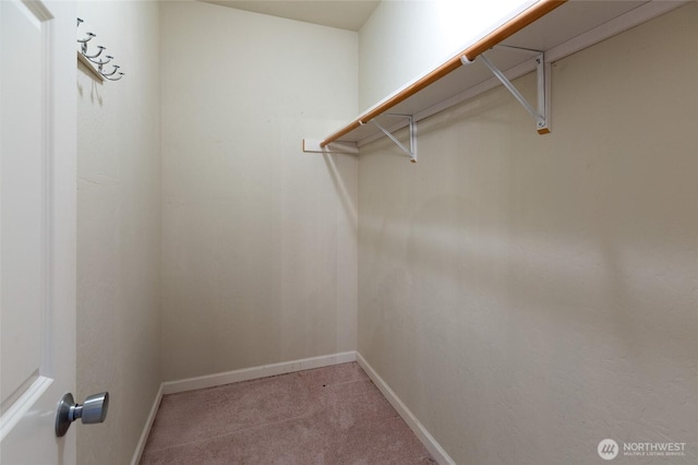 walk in closet featuring light colored carpet