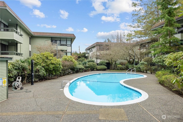 view of pool with a patio