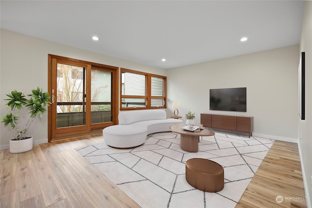 living room featuring light hardwood / wood-style floors