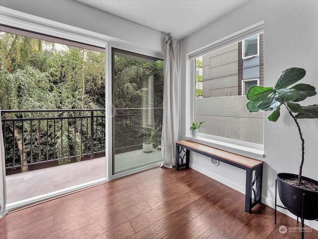 entryway with dark hardwood / wood-style floors and plenty of natural light