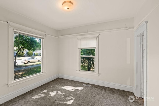 carpeted empty room featuring a wealth of natural light