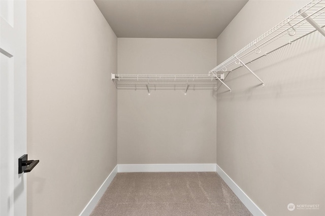 walk in closet featuring carpet