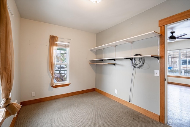 laundry area featuring ceiling fan and carpet flooring