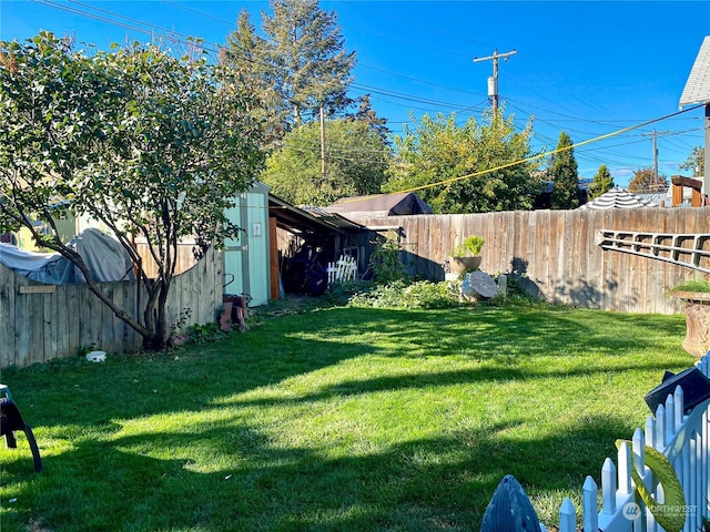 view of yard featuring a storage shed