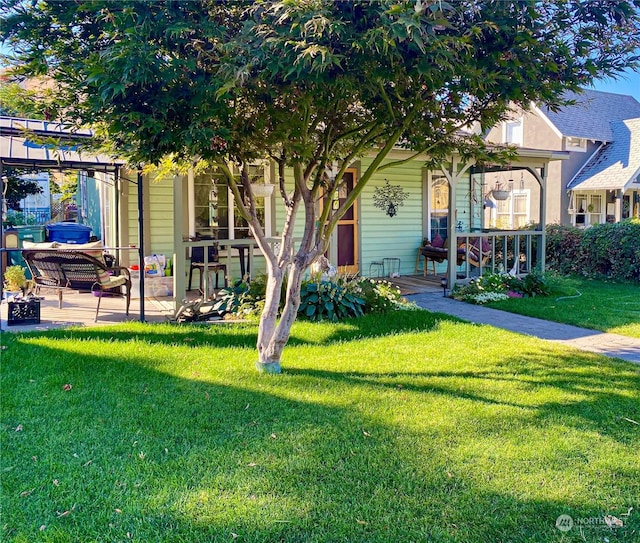 view of front of property with a patio area, a front lawn, and a pergola