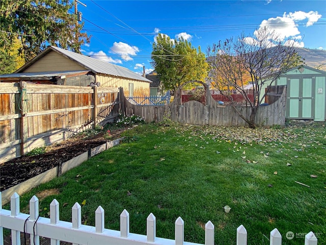 view of yard with a shed