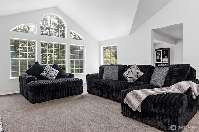 6807 345th St S, Roy, WA 98580 - living area with baseboards, high vaulted ceiling, and carpet