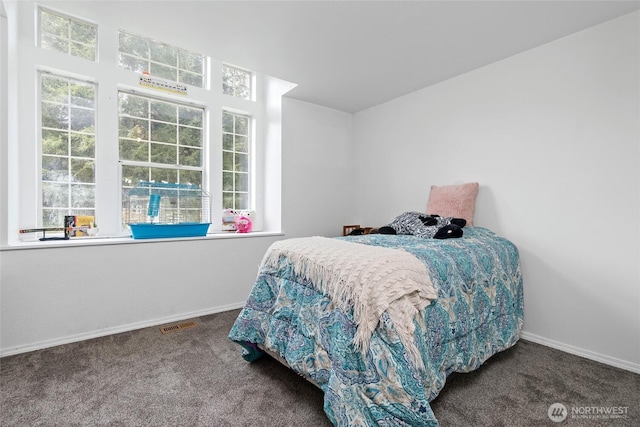 6807 345th St S, Roy, WA 98580 - bedroom featuring carpet, visible vents, and baseboards