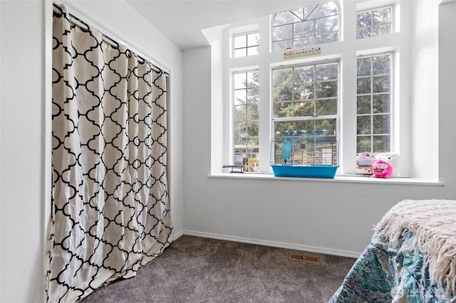 6807 345th St S, Roy, WA 98580 - bedroom with visible vents, baseboards, multiple windows, and carpet