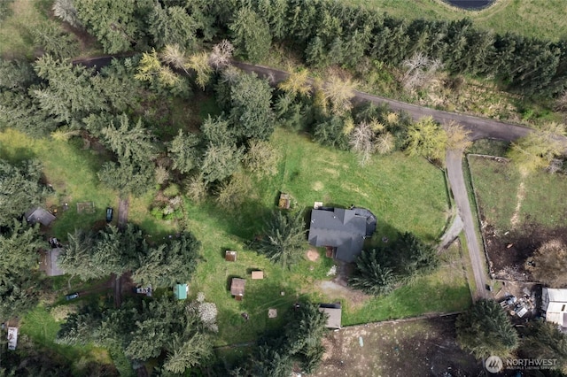 6807 345th St S, Roy, WA 98580 - birds eye view of property