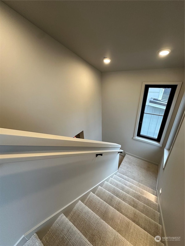 staircase featuring carpet