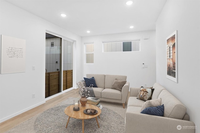 living room featuring light wood-type flooring