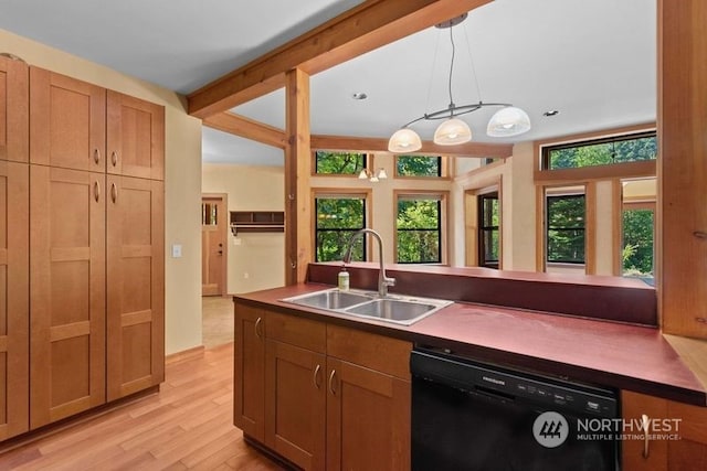 kitchen with dishwasher, hanging light fixtures, plenty of natural light, and sink