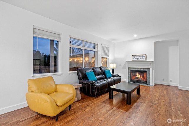 living room with a fireplace and wood-type flooring