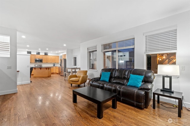 living room with light wood-type flooring