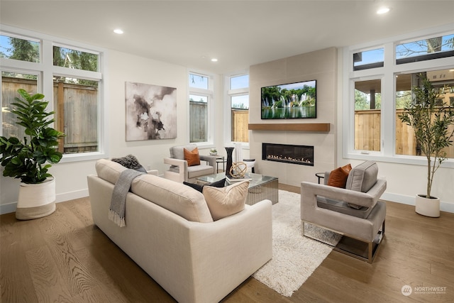 living room with a fireplace, wood-type flooring, and plenty of natural light