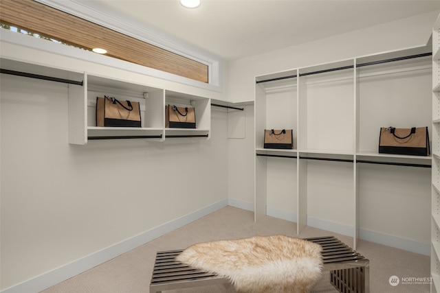 walk in closet featuring light colored carpet