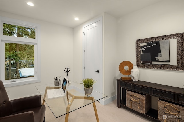 sitting room with light colored carpet