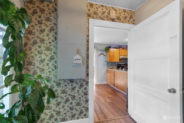 bathroom featuring hardwood / wood-style floors and backsplash