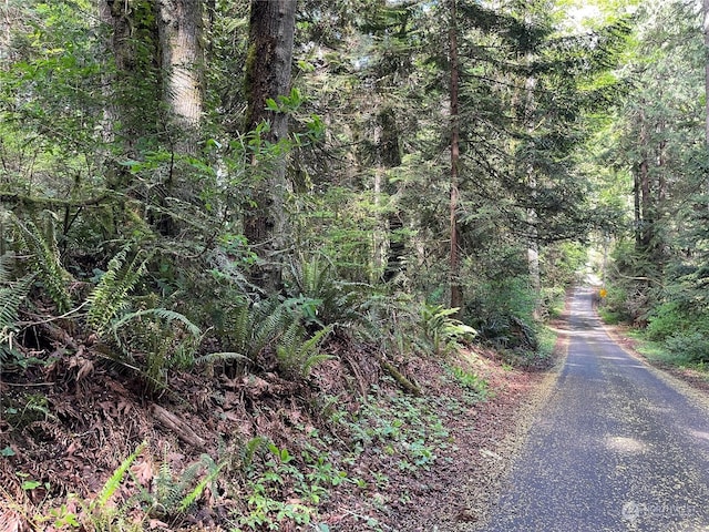 Listing photo 2 for 0LOTS2-7 NE Sanwick Pl, Bainbridge Island WA 98110