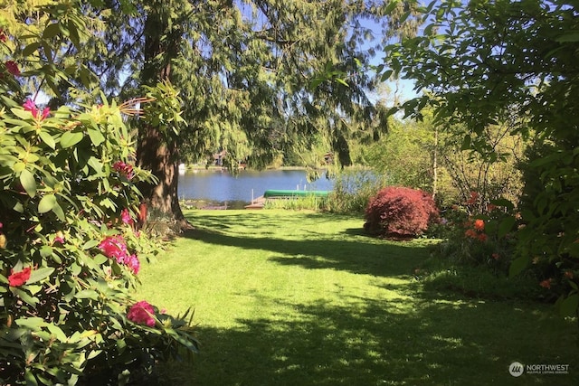 view of yard featuring a water view