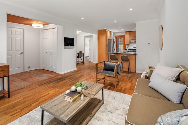 living room with light wood-type flooring