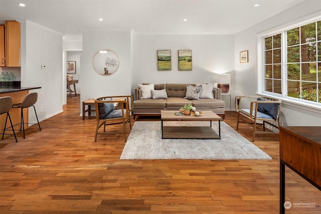 living room with light hardwood / wood-style floors, crown molding, and a wealth of natural light