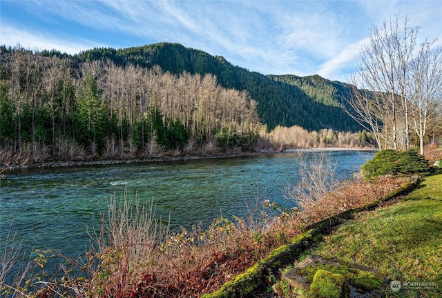 water view featuring a mountain view