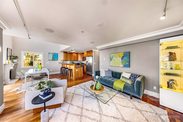 living room featuring light hardwood / wood-style flooring, track lighting, and ornamental molding