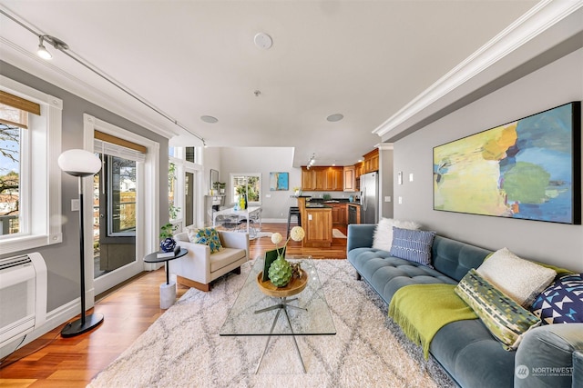 living room featuring light wood-type flooring and crown molding