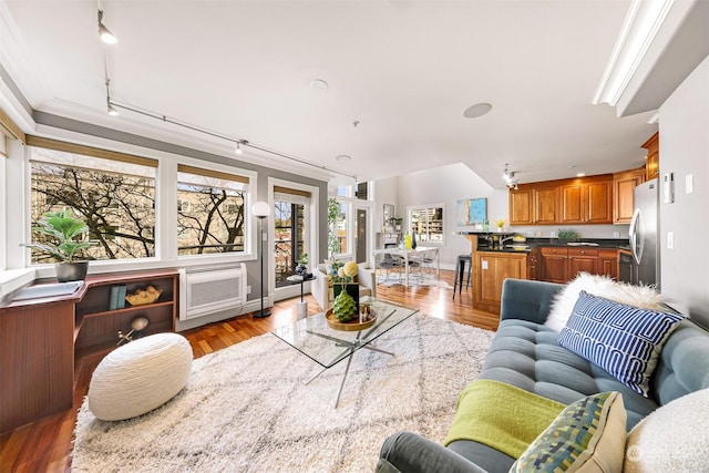 living room featuring light hardwood / wood-style floors, an AC wall unit, and ornamental molding