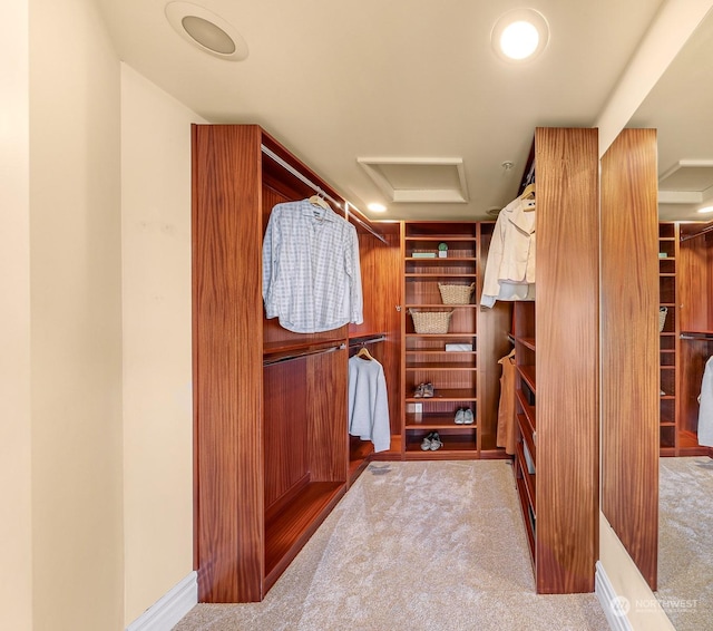 spacious closet featuring light carpet