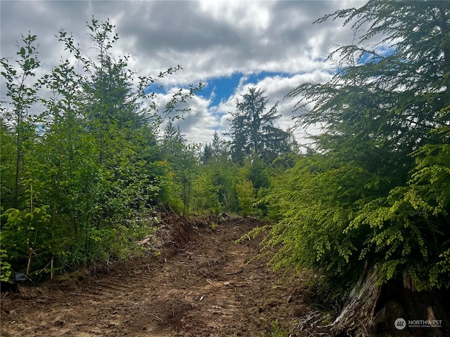 view of landscape