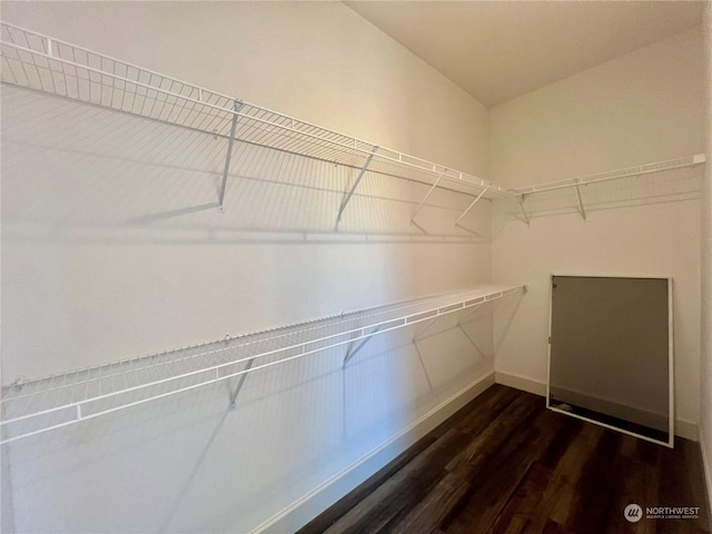 spacious closet with dark hardwood / wood-style floors