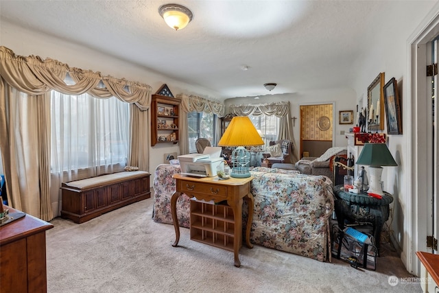 living room with carpet flooring and a textured ceiling