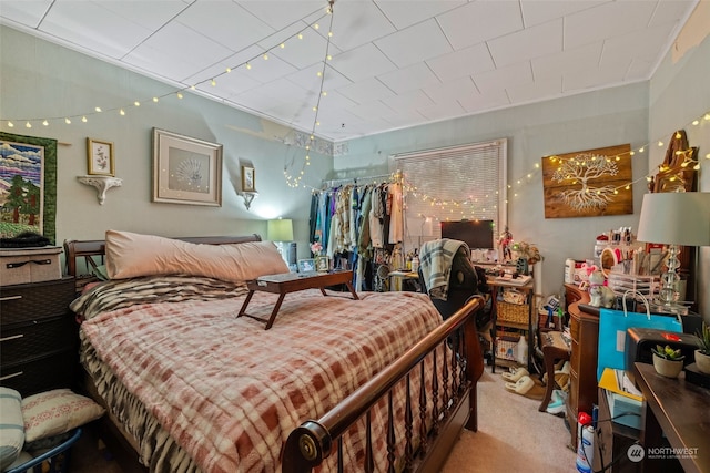 carpeted bedroom with rail lighting