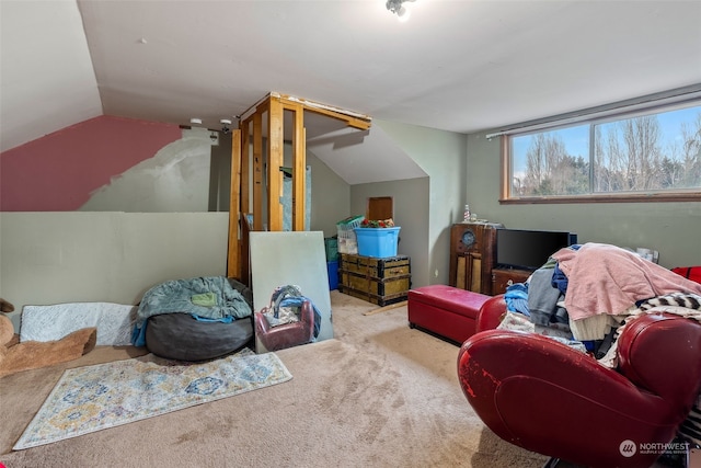 bonus room featuring vaulted ceiling and carpet floors