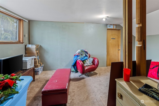 game room featuring light colored carpet