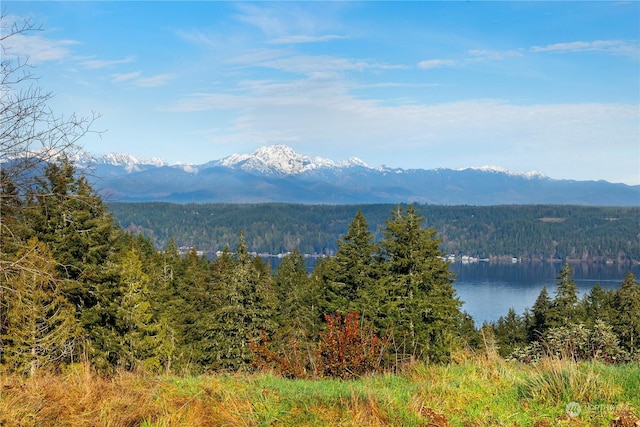 view of mountain feature with a water view