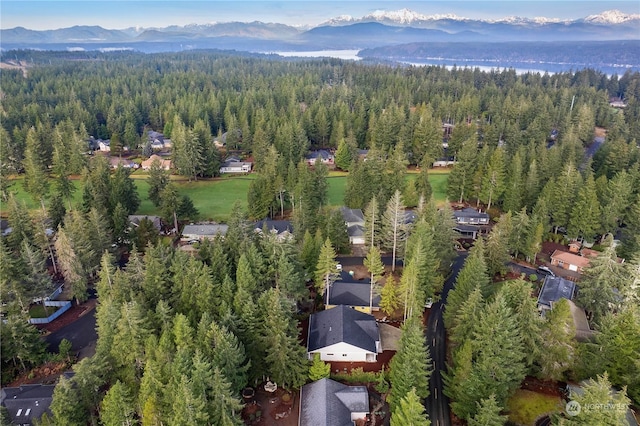 bird's eye view with a mountain view