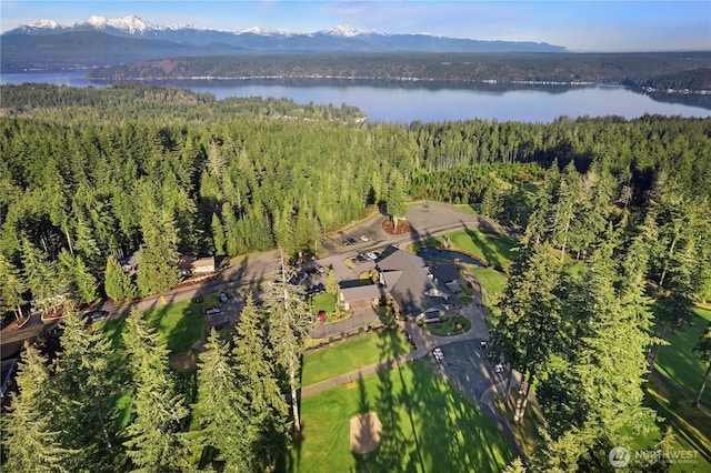 200 E Vine Maple Ln, Union, WA 98592 - photo 23