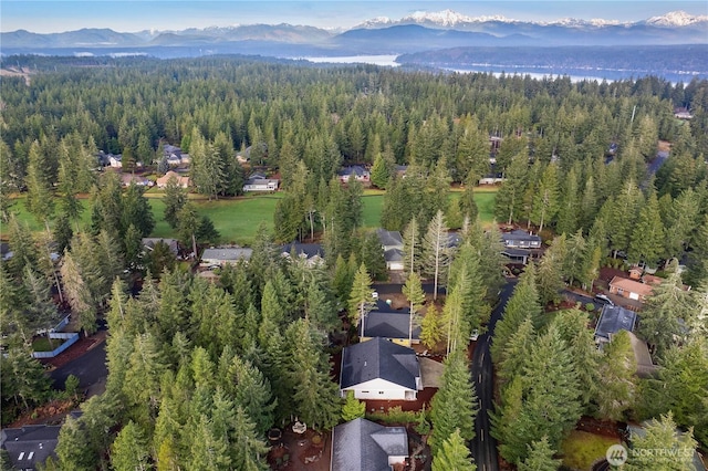 200 E Vine Maple Ln, Union, WA 98592 - photo 24