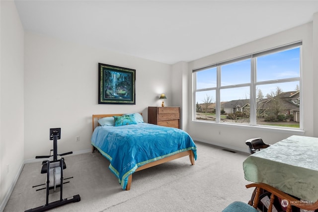 carpeted bedroom with multiple windows