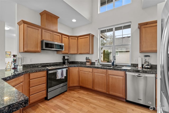 kitchen featuring sink, light hardwood / wood-style floors, and appliances with stainless steel finishes