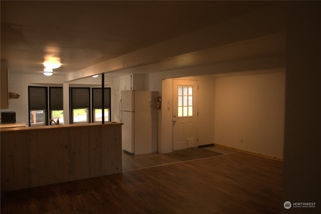 foyer entrance featuring wood-type flooring