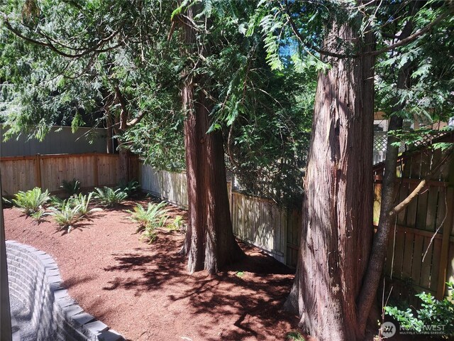 1827 216th Pl NE, Sammamish, WA 98074 - view of fenced backyard