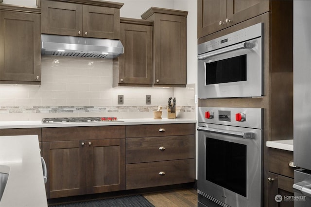 kitchen with wood-type flooring, dark brown cabinets, appliances with stainless steel finishes, exhaust hood, and decorative backsplash